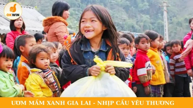 Ươm mầm xanh Gia Lai