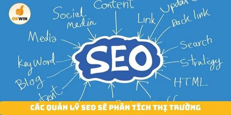 Các quản lý SEO sẽ phân tích thị trường