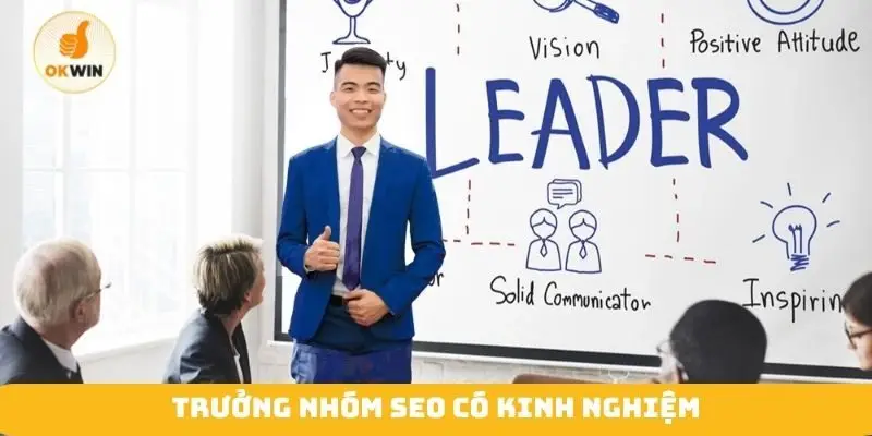 Trưởng nhóm SEO có kinh nghiệm