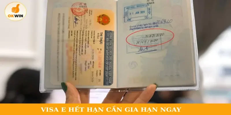 Visa E hết hạn cần gia hạn ngay